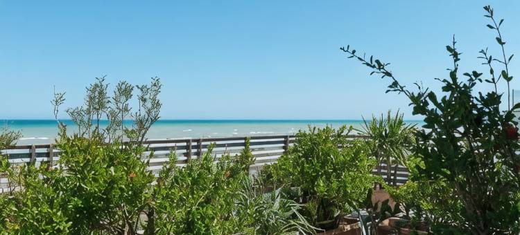 亲吻海滨酒店和餐厅(Kiss Beachfront Hotel & Restaurant)图片