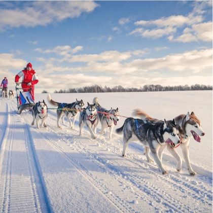 丹麦哥本哈根9日7晚私家团