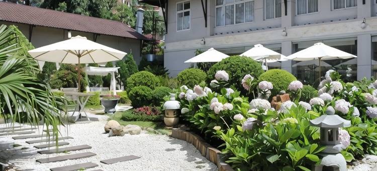 大叻曼青酒店(Muong Thanh Holiday Da Lat Hotel)图片