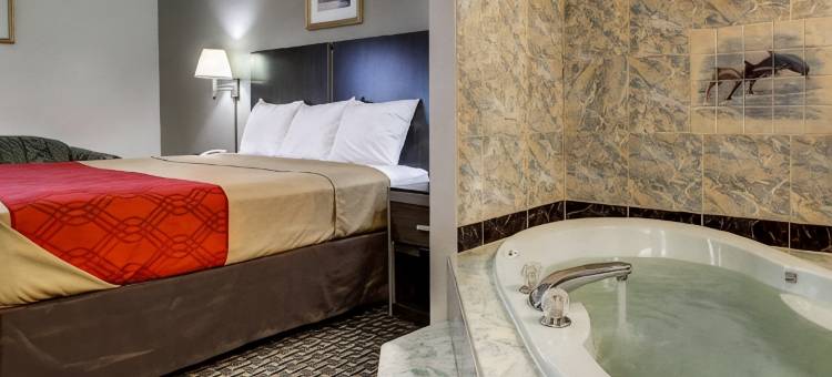 伊克诺旅馆及套房(Econo Lodge Inn & Suites)图片