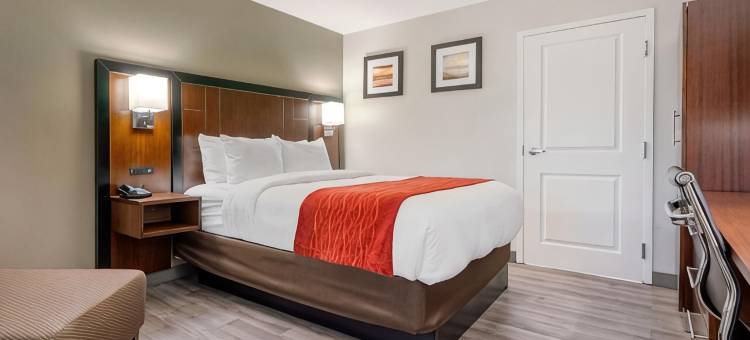 舒适酒店(Comfort Inn)图片