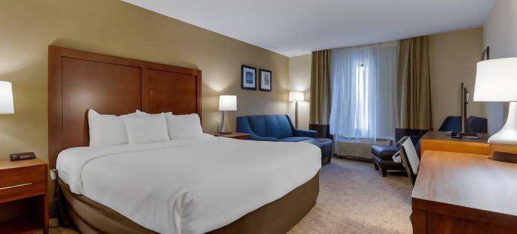 剑桥套房舒适酒店(Comfort Inn & Suites Cambridge)图片