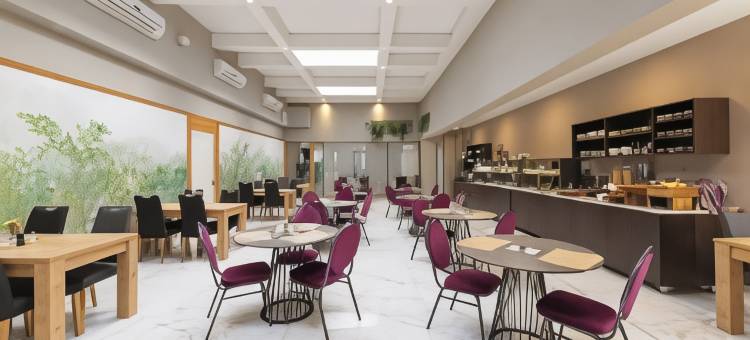 萨罗纳宫酒店(Hotel Salona Palace)图片