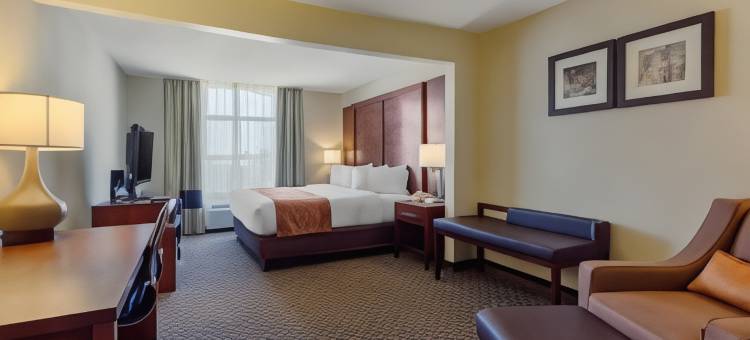 西南休斯顿舒格兰舒适套房酒店(Comfort Inn & Suites SW Houston Sugarland)图片