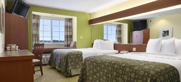 圣安东尼奥机场北温德姆速8酒店(Super 8 by Wyndham San Antonio Airport North)图片