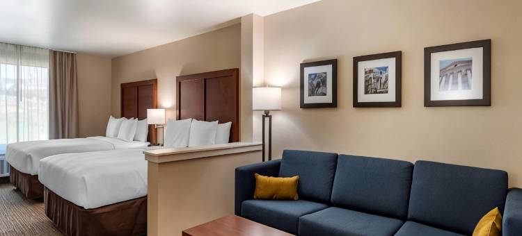 舒适酒店及套房(Comfort Inn & Suites)图片