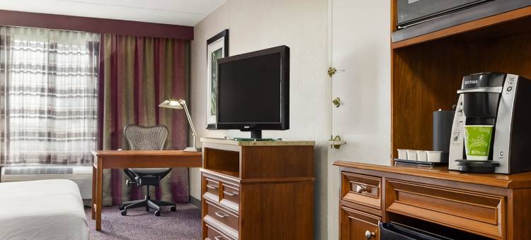 斯普林菲尔德希尔顿花园旅馆(Hilton Garden Inn Springfield, MA)图片