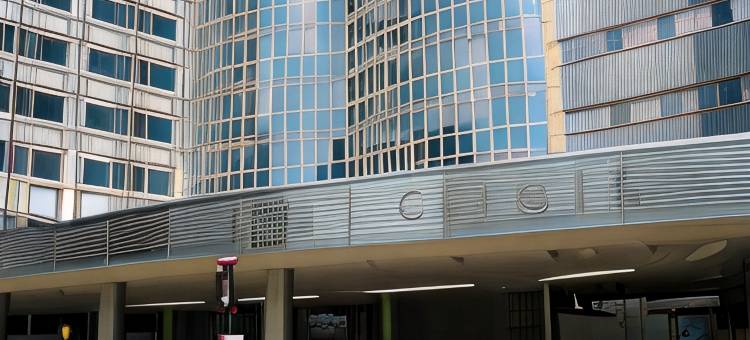 梅奥诊所区域的医城旅馆&套房(Med City Inn & Suites Rochester Mayo Clinic Area)图片