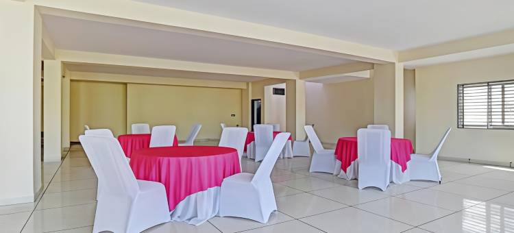 Treebo Nirvana Elite图片