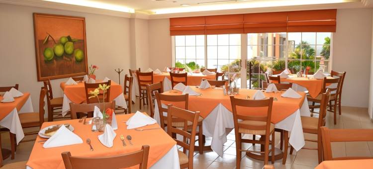 韦拉克鲁斯米西翁酒店(Hotel Misión Veracruz)图片