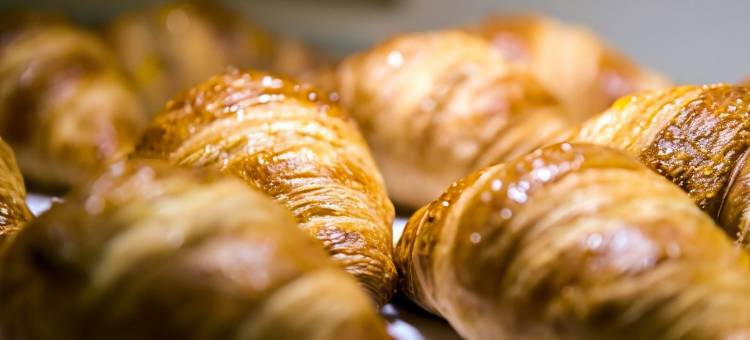 哈罗精品酒店(Halo Boutique Hotel)图片