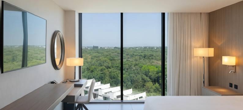 圣克鲁斯瑞士酒店(Swissôtel Santa Cruz de La Sierra)图片