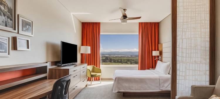费斯塔酒店套房巴希奥机场(Fiesta Inn Suites Aeropuerto del Bajío)图片