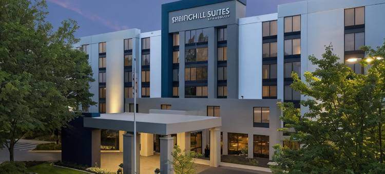 亚特兰大周界中心万豪SpringHill Suites酒店(SpringHill Suites Atlanta Perimeter Center)图片