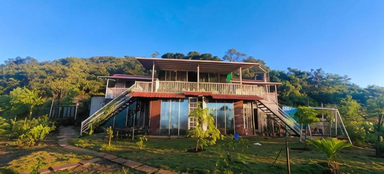 森林民宿别墅(ForRest Homestay Villa)图片