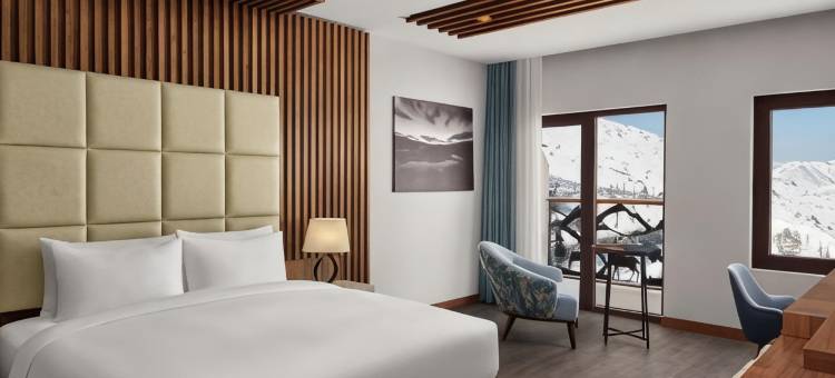 Radisson Blu Resort And Spa Korek Mountain图片