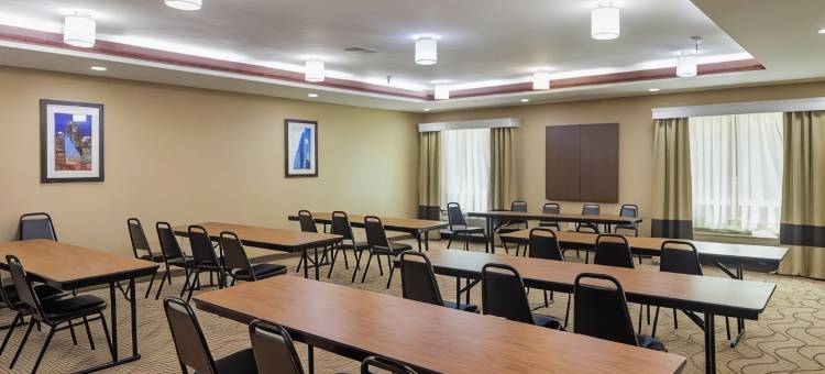 舒适套房酒店-达拉斯北(Comfort Suites North Dallas)图片