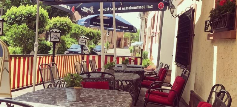 祖姆卡尔普芬酒店及餐厅(Hotel & Restaurant Zum Karpfen)图片