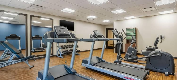 舒适套房旅馆(Comfort Inn & Suites)图片