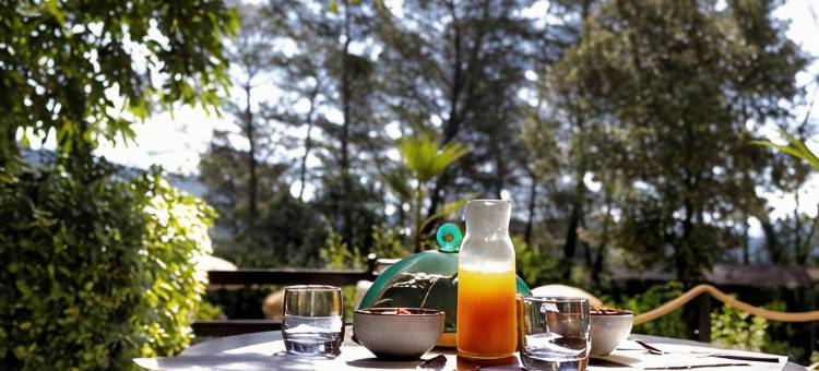 托斯卡别墅(La Villa Tosca)图片