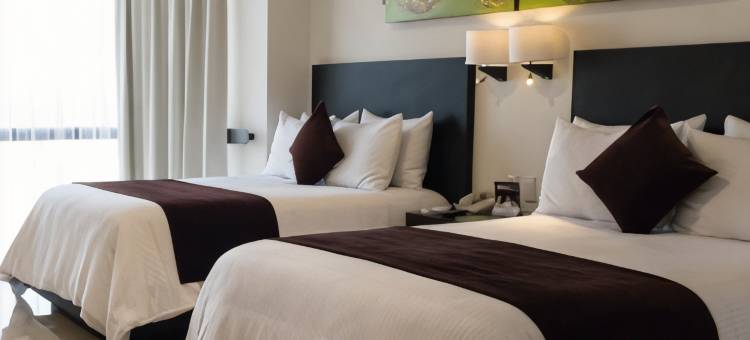 托雷翁米西翁酒店(Mision Torreon)图片