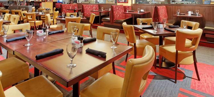 Holiday Inn 阿林顿东北流浪者棒球场(Holiday Inn Arlington NE-Rangers Ballpark)图片