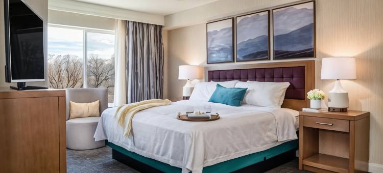 盐湖城市中心Homewood Suites by Hilton(Homewood Suites by Hilton Salt Lake City-Downtown)图片