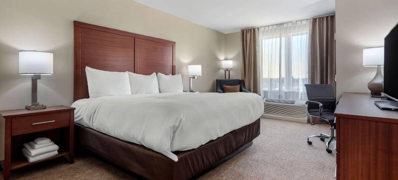 舒适套房酒店(Comfort Inn & Suites)图片