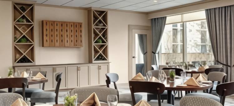 麦克莱恩泰森希尔顿逸林酒店(DoubleTree by Hilton McLean Tysons)图片