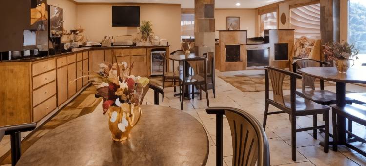 涛驰莱德贝斯特韦斯特酒店(Best Western Torchlite)图片