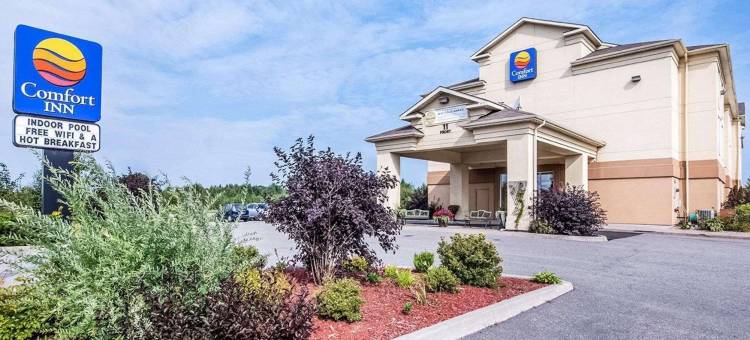 鲟鱼瀑布舒适酒店(Comfort Inn)图片