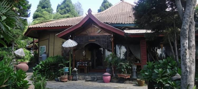布罗莫旅游村布罗莫约斯基酒店(Yoschi's Hotel Bromo)图片