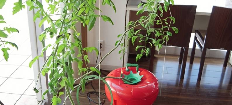 风城酒店(Wind City Hotel)图片