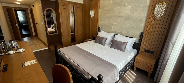 图里斯蒂克帕拉斯酒店(Turistik Palas Hotel)图片
