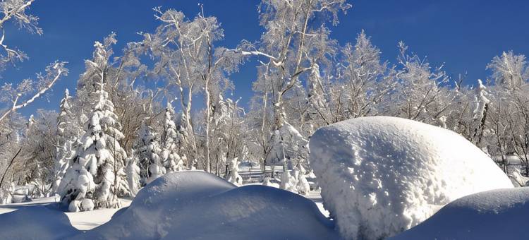 五常雪谷山川情驿站图片