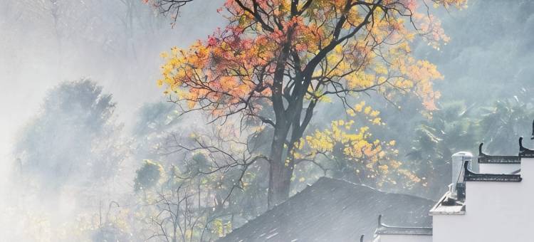 婺源枫隐山居图片