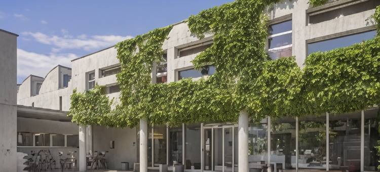 洛桑青年旅馆(Lausanne Youth Hostel Jeunotel)图片