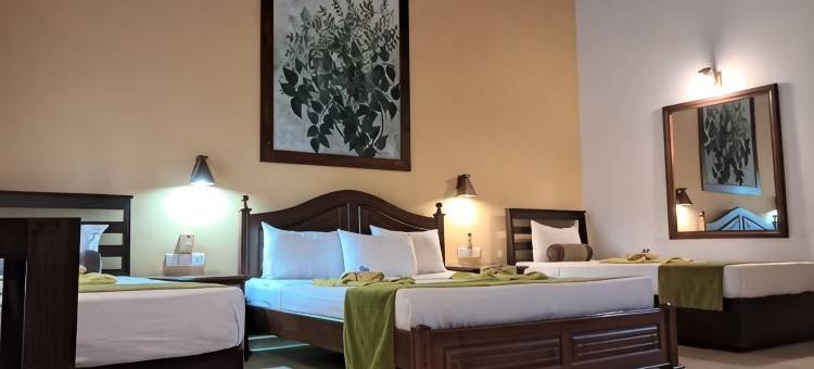 茉莉别墅阿育吠陀度假村(Jasmin Villa Ayurveda Resort)图片
