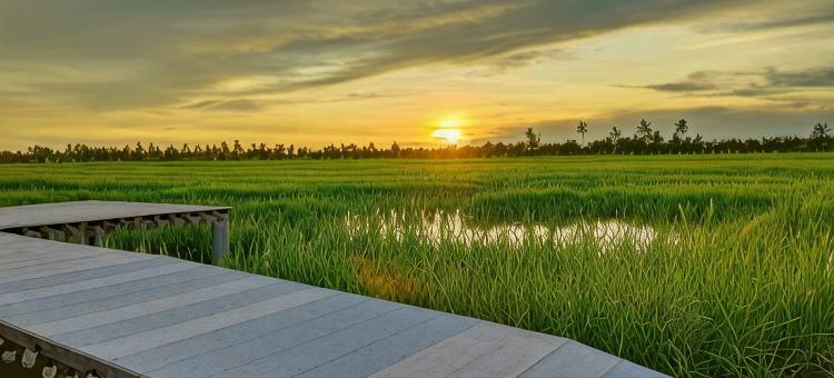 库劳农场民宿(Kurau Inn Boutique Farmstay)图片
