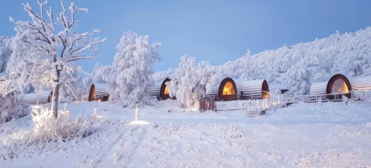 Kirkenes 雪景度假村(Snow Resort Kirkenes)图片