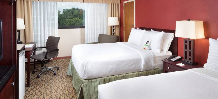 Holiday Inn 约翰逊城(Holiday Inn JOHNSON CITY by IHG)图片