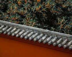 Jinjiang River in Bloom: Osmanthus Perfumes Parks and Ancient Temples