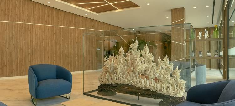 SH酒店集团AJ格兰阿利坎特(AJ Gran Alacant by SH Hoteles)图片