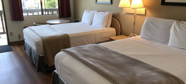 西雅图塔科马机场超值旅馆(Sea-Tac Airport Value Inn)图片