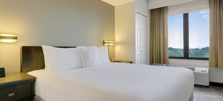纽瓦克国际机场SpringHill Suites 酒店(SpringHill Suites by Marriott Newark International Airport)图片
