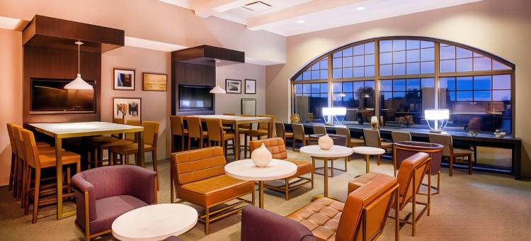 巴尔的摩华盛顿机场喜来登酒店-I(Sheraton Baltimore Washington Airport Hotel - BWI)图片