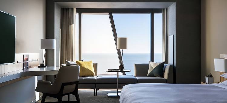 芝加哥万豪侯爵酒店(Marriott Marquis Chicago)图片