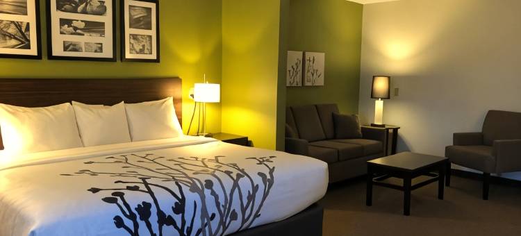 罗斯堡北-近医疗中心舒眠套房酒店(Sleep Inn & Suites Roseburg North Near Medical Center)图片