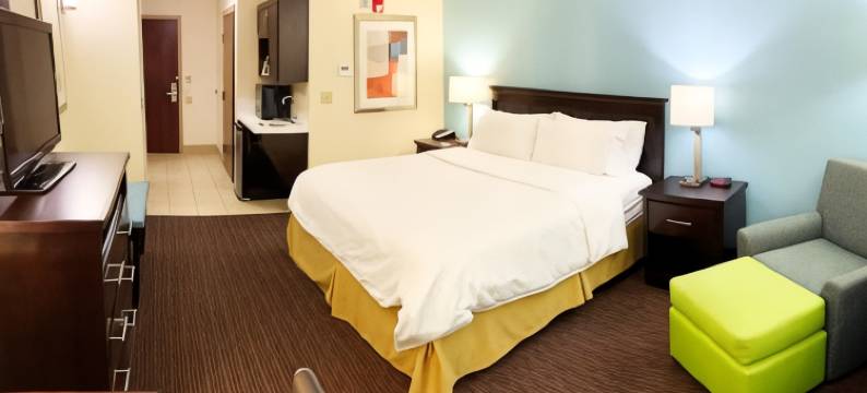 智选假日套房酒店盖恩斯维尔(Holiday Inn Express & Suites GAINESVILLE by IHG)图片