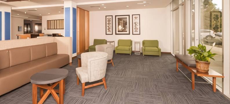 卡拉马祖西假日酒店(Holiday Inn & Suites KALAMAZOO WEST by IHG)图片